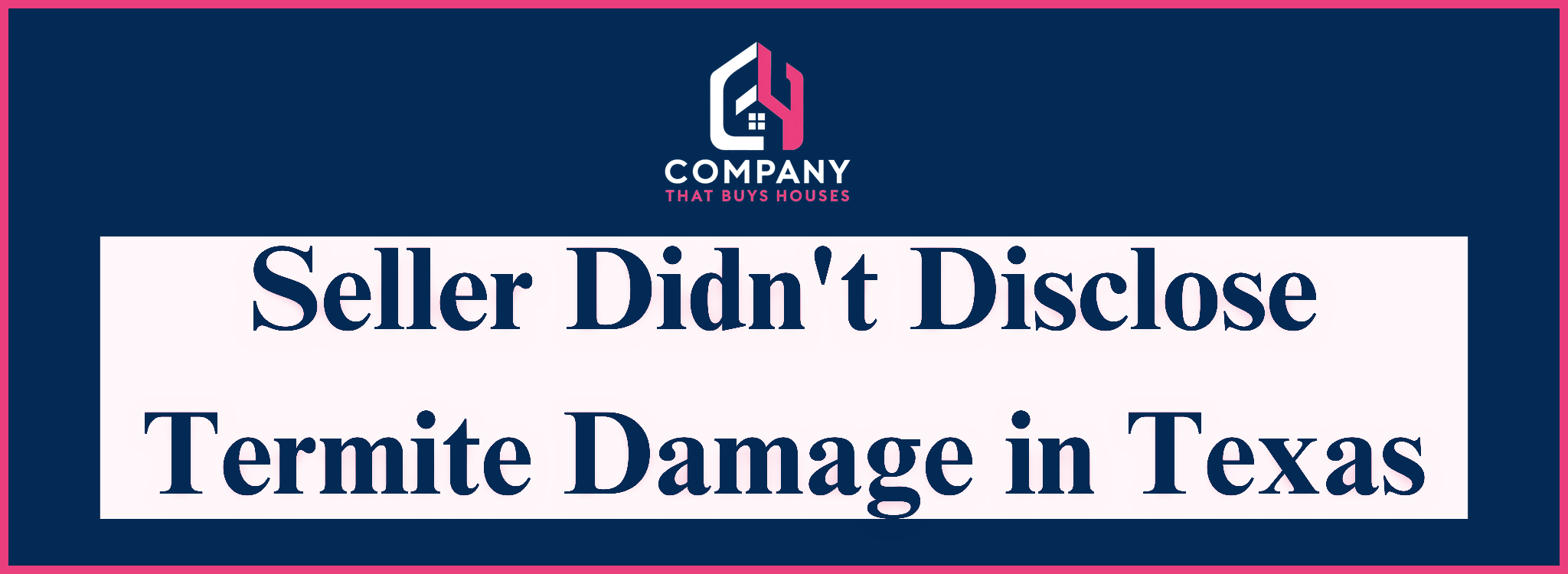 Undisclosed Termite Damage Seller In Texas