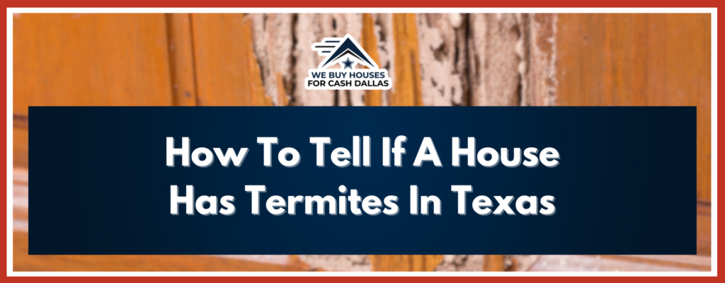 A House Has Termites Banner Texas