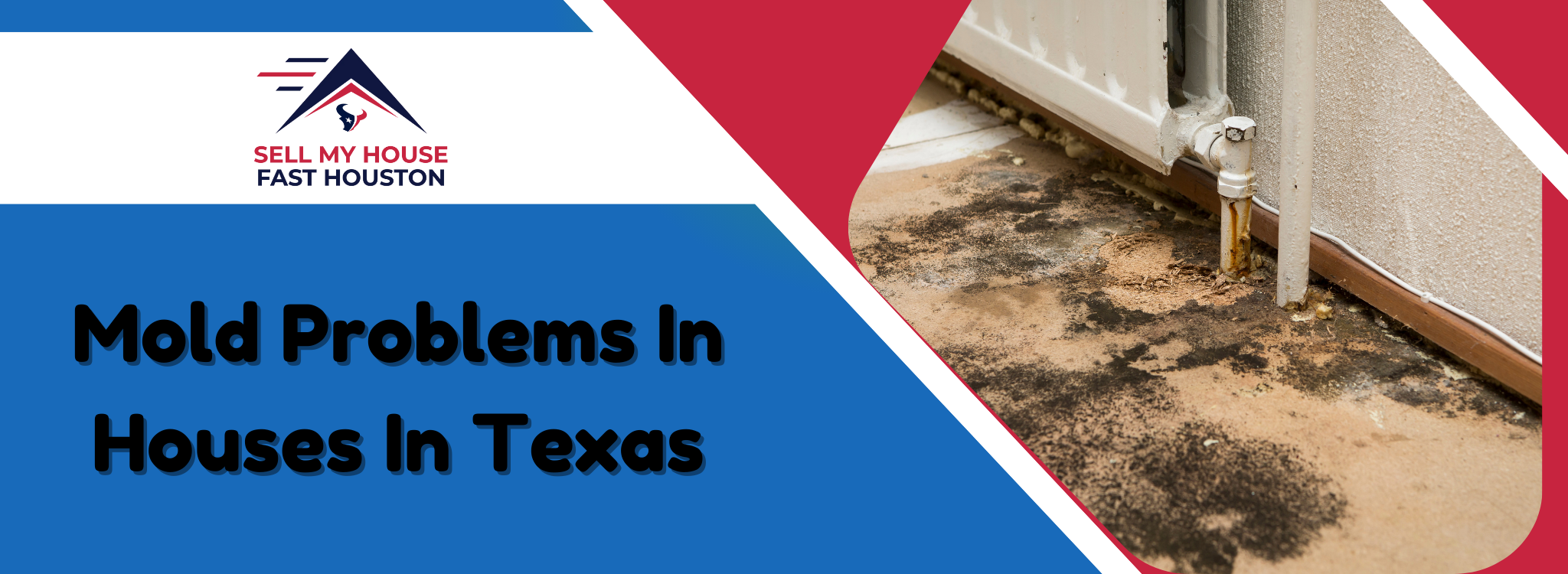 Issues with Mold Problems in Houses Texas