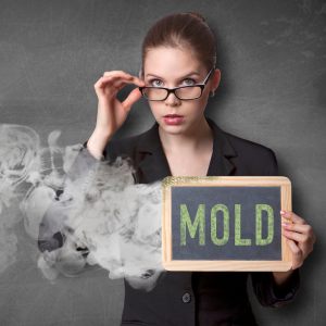 Problems Caused by Mold in Houses Texas