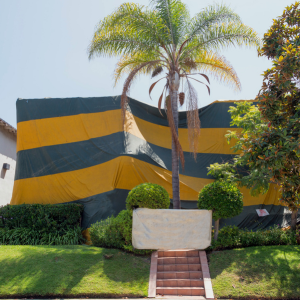 Termite Fumigation Rates Texas
