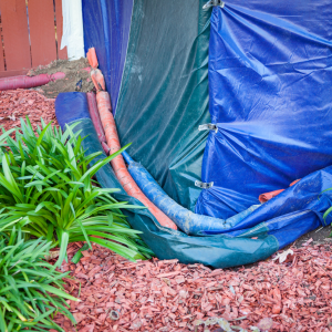 Termite Treatment Prices Texas