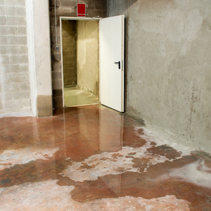Steps to Selling a House With Water Damage Houston