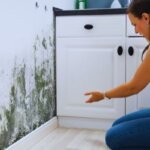 Sell House With Mold Texas