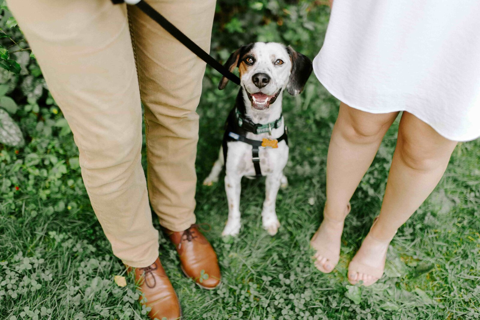 The Best Dog Friendly Apartments in Austin!