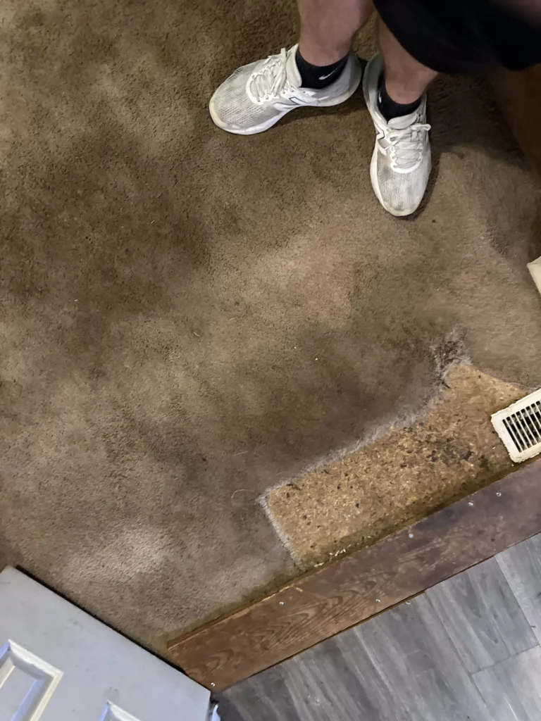 Furnishing Repair
