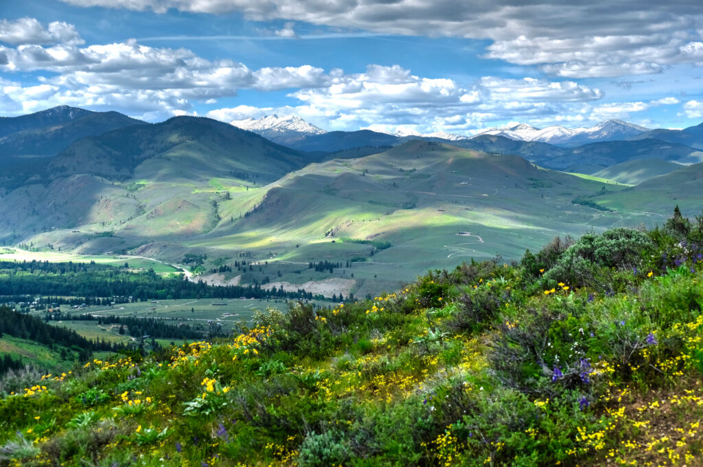 Rolling hills from Patterson Mountain