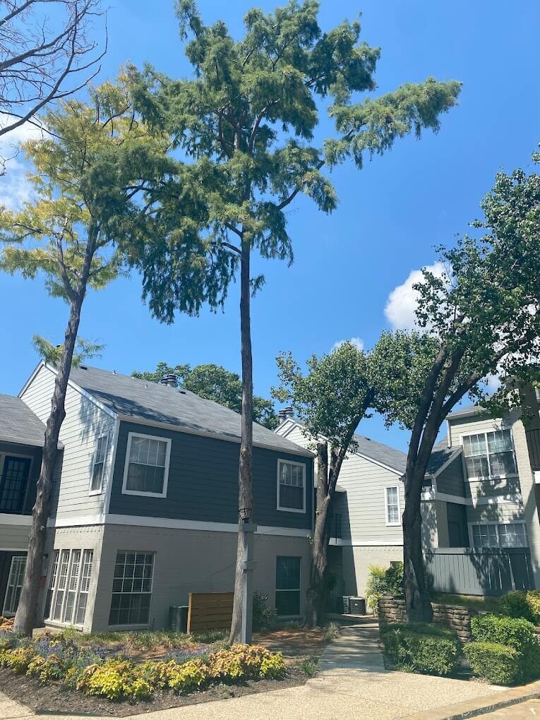 apartment renovations