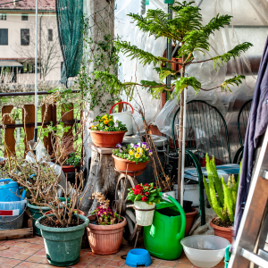 How To Sell A Hoarder House In Virginia