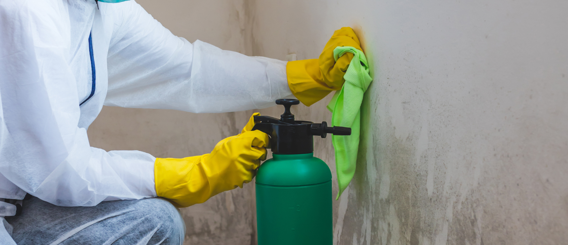 Selling a Mobile Home with Mold Problems in Virginia