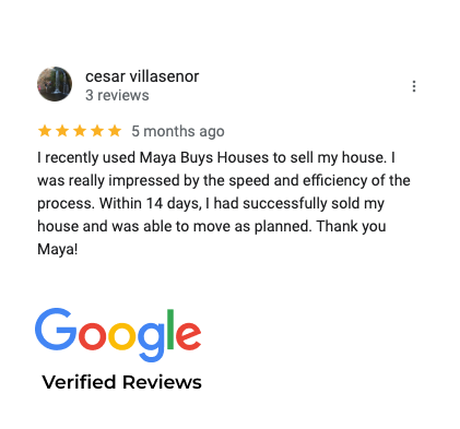 Cesar Villasenor review