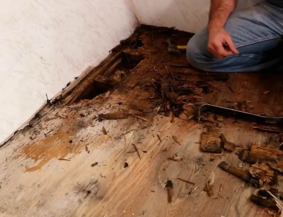 Cut out the damaged section of floor