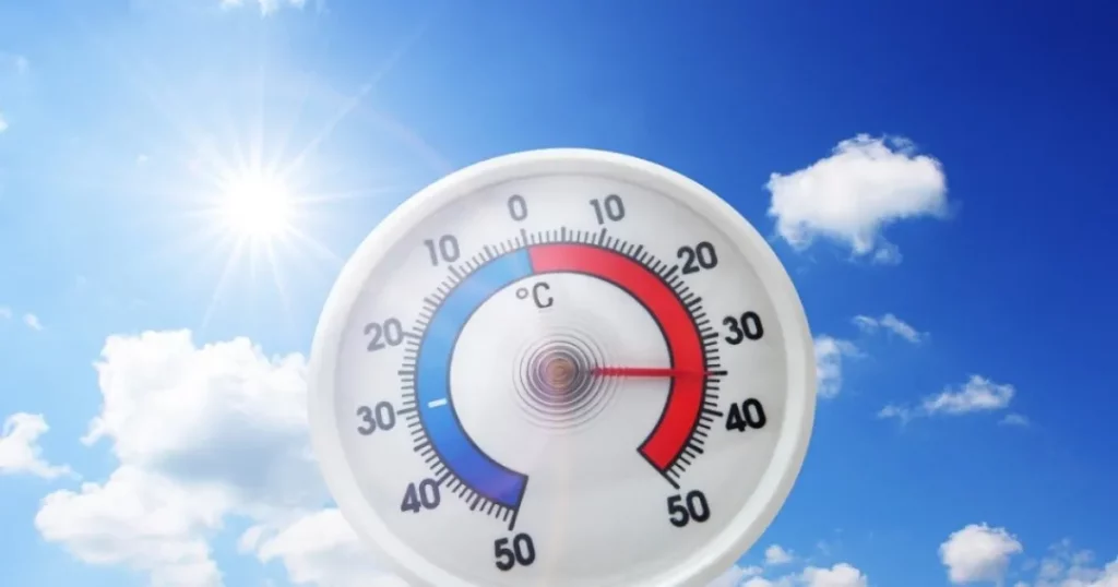 Monitor Local Weather Forecasts Regularly, Especially During Heatwaves