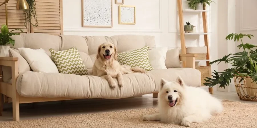 The Guidelines on Size Restrictions for Dogs in Tennessee Mobile Home Parks