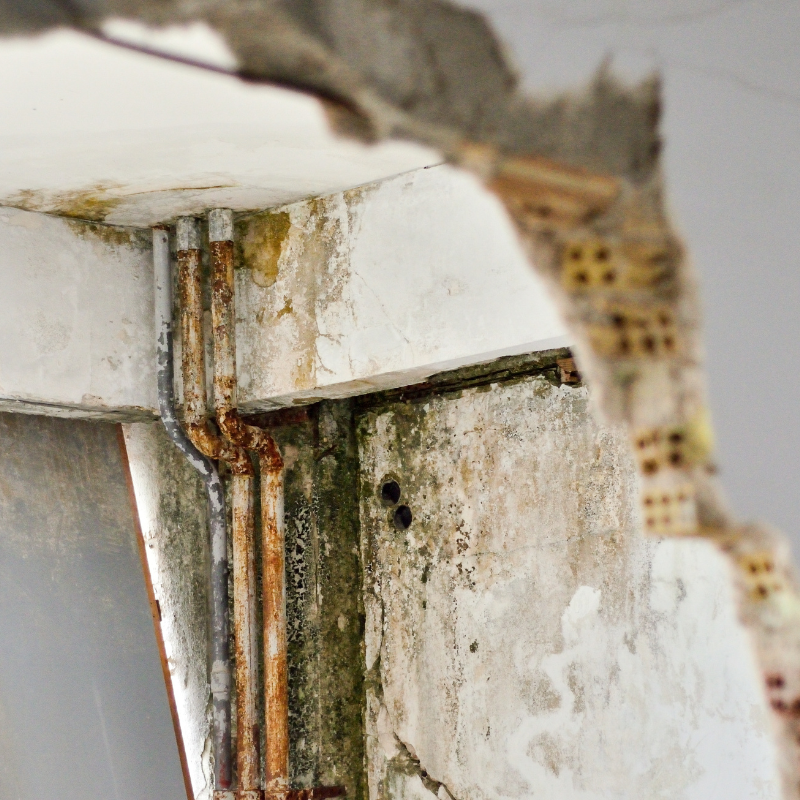 Sell Your House Fast With Molds in Maryland