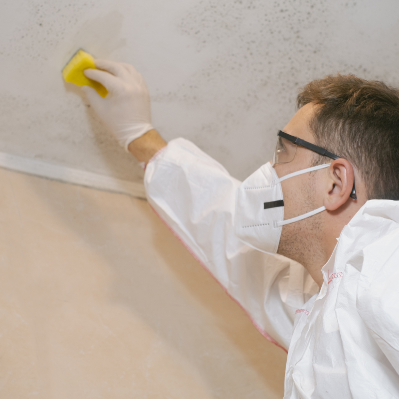 Sell a House With Molds in Maryland