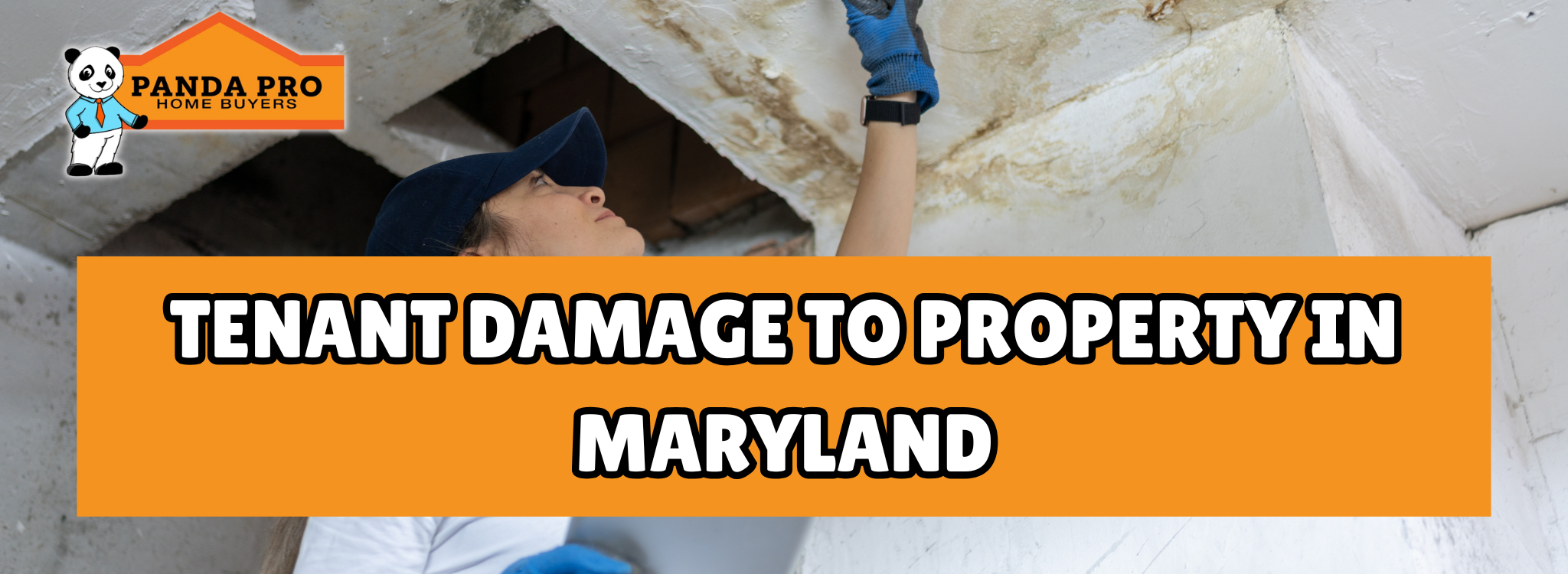 Property Damage Linked to Tenant In Maryland