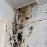 Sell a House Fast With Mold Oregon