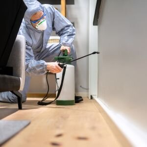 Selling a Home Affected by Termite Damage in Portland, OR