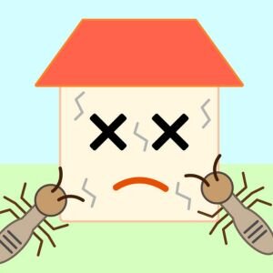 Selling a House With Structural Termite Damage in Portland, OR