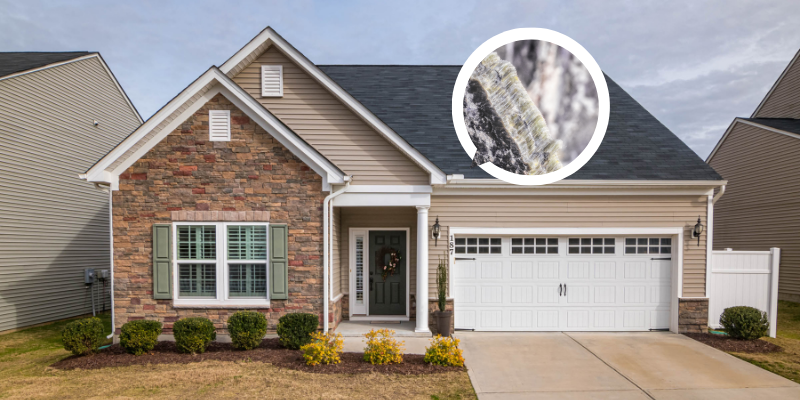 Can You Sell a House With Asbestos Louisiana