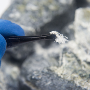 Selling My House With Asbestos Louisiana