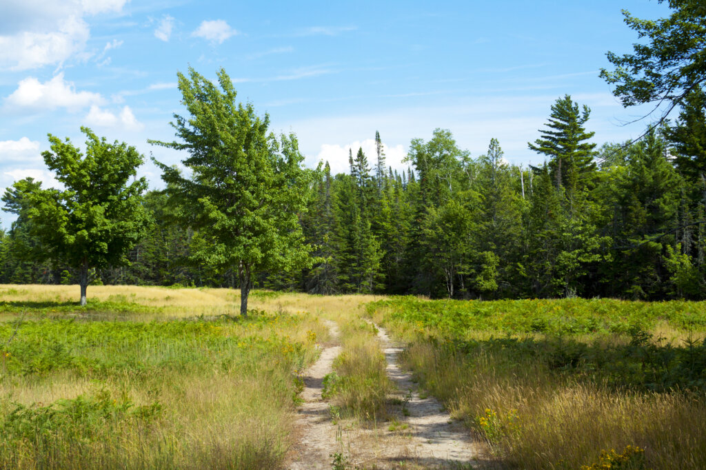 Sell your land fast to 304 House Buyers