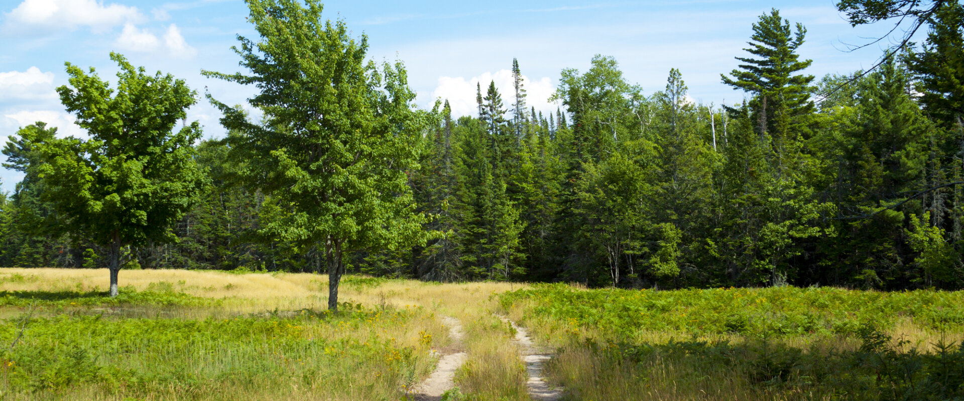 Sell your land fast to 304 House Buyers