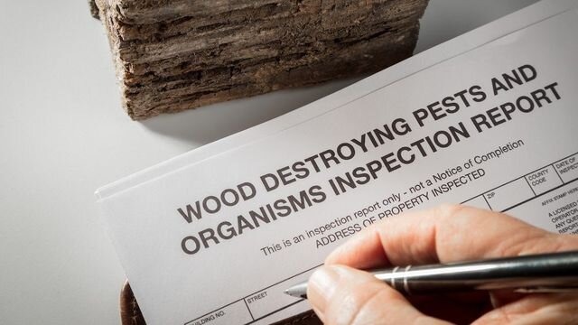 Free Initial Termite Inspections for Probate
