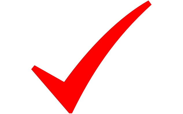 Check-Icon