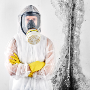 Sell Your House With Mold in Massachusetts
