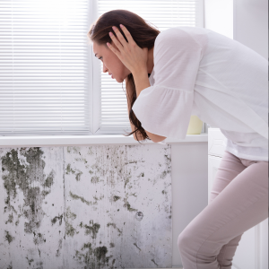 Sell a House With Mold in Massachusetts