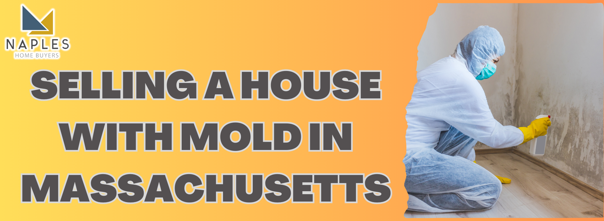 We Buy House With Mold in Massachusetts