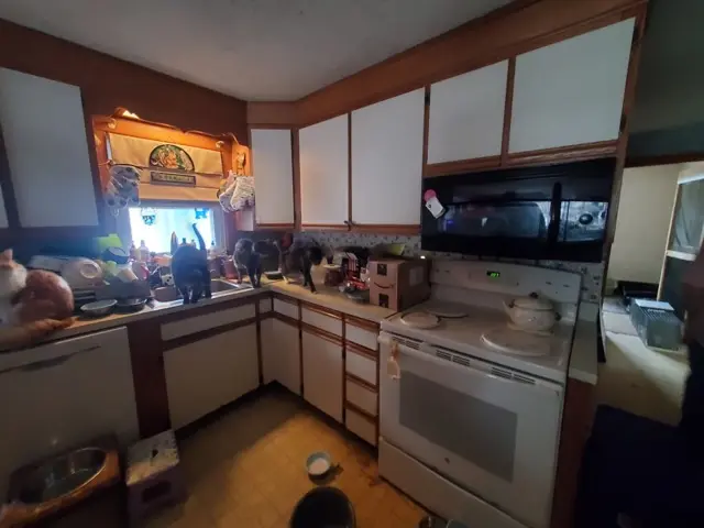 Kitchen featuring white cabinetry, a microwave above the stove, and several cats near the sink and counter.