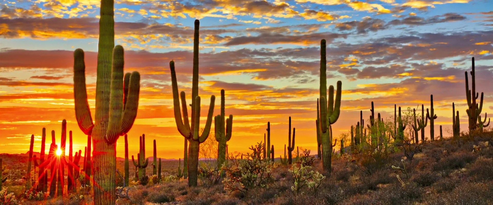 Need to sell a house in Az?