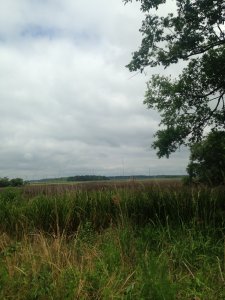 sell my land in Charleston fast