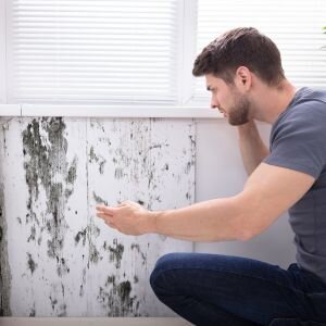 How to Sell a House Affected by Mold in Maine
