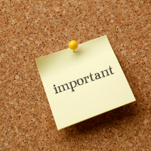 Is Replacing Carpet Worth It Before You Sell Your House in New Hampshire