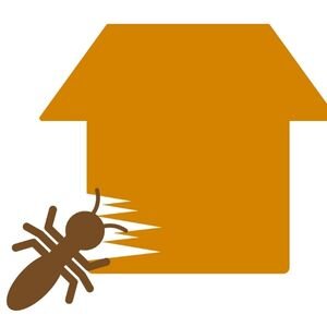 Can You Sell Property With Termites in Maine