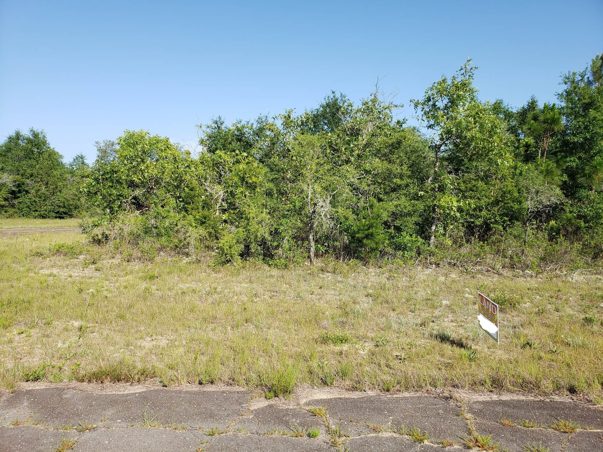 Land for sale in Chipley, Florida