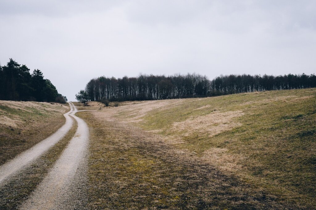 Vacant land in Alabama