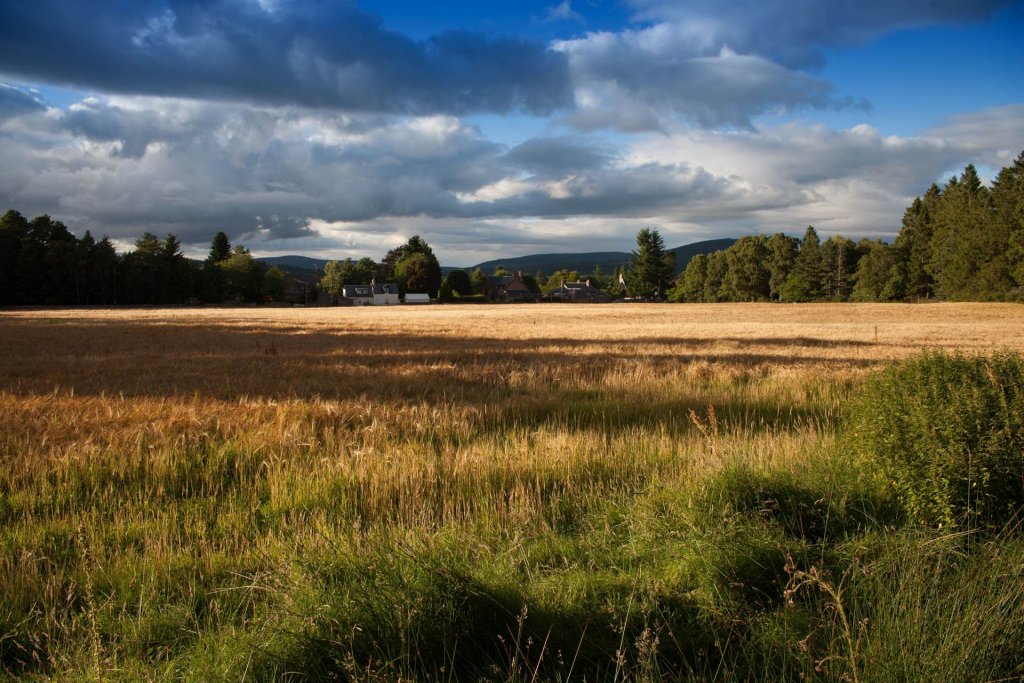 sell your vacant land today