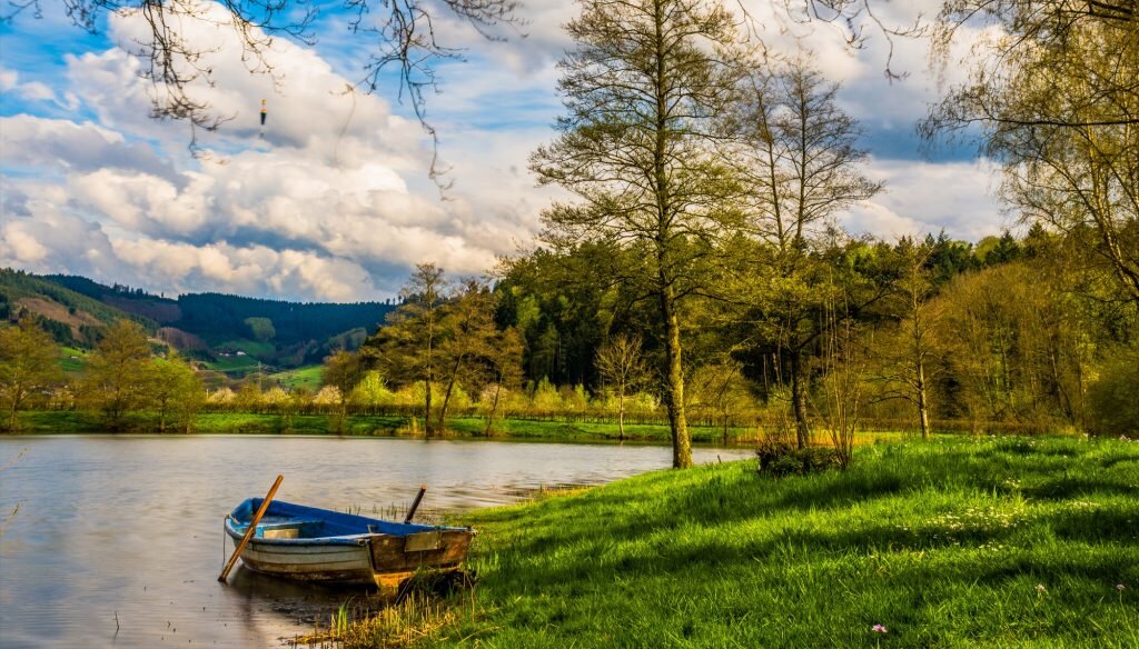 land with a pond and a small row boat