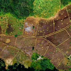 How to Sell Land by Owner Cash In South Carolina