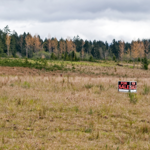 Sell Land with Complicated Title Issues 