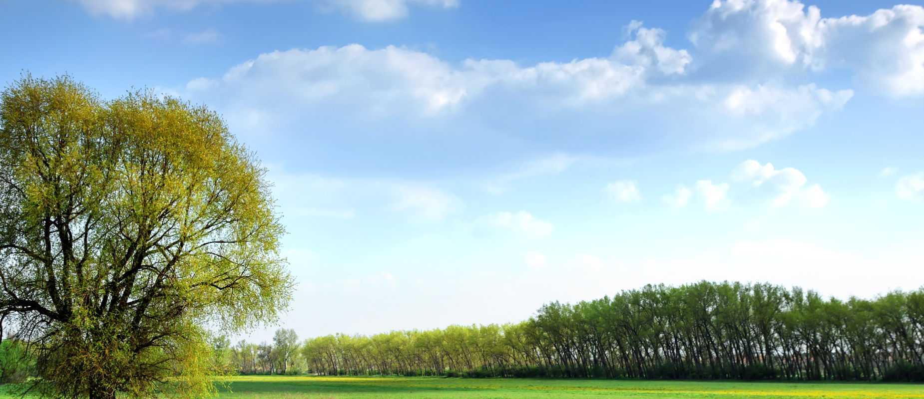 How to Sell Land by Owner Fast Cash In Florida