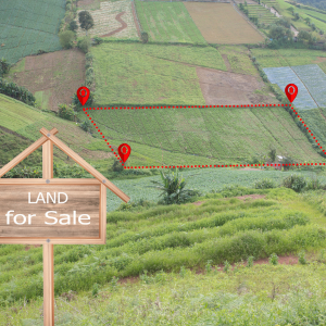 How to Sell Land in