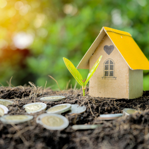 Selling Land Independently, Without a Lawyer in
