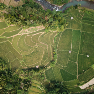 Steps to Sell Part of Your Land in