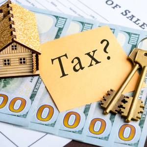 Is it Legal to Cover Another Person's Land Taxes Florida